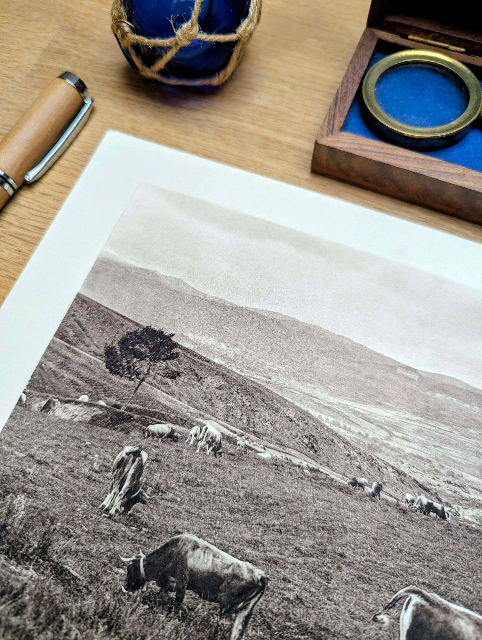 Colina de la Perche, Pirineus-Orientais, placa fotográfica impressa em 1937. – photo 9